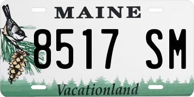 ME license plate 8517SM