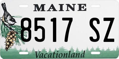 ME license plate 8517SZ