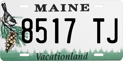 ME license plate 8517TJ