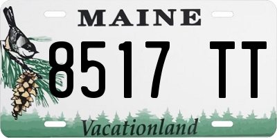 ME license plate 8517TT