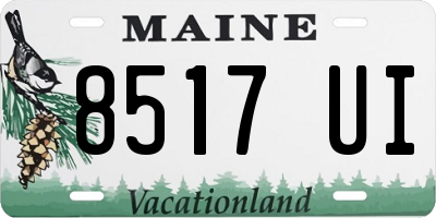 ME license plate 8517UI