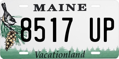 ME license plate 8517UP