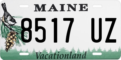 ME license plate 8517UZ