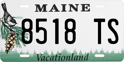 ME license plate 8518TS