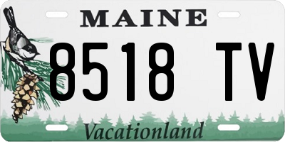 ME license plate 8518TV