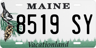 ME license plate 8519SY