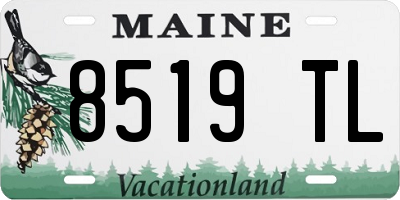 ME license plate 8519TL