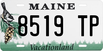 ME license plate 8519TP