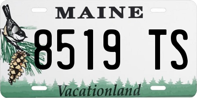 ME license plate 8519TS