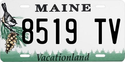 ME license plate 8519TV