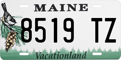 ME license plate 8519TZ