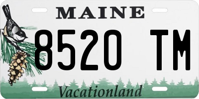 ME license plate 8520TM