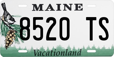 ME license plate 8520TS