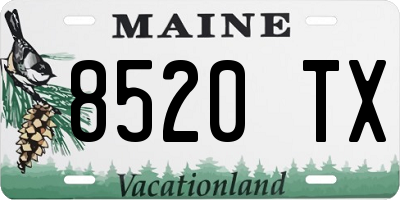 ME license plate 8520TX