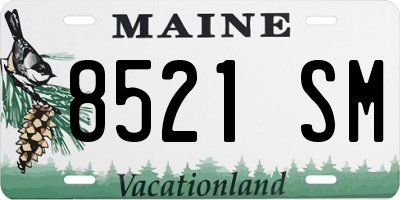 ME license plate 8521SM