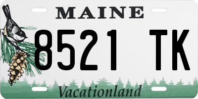 ME license plate 8521TK