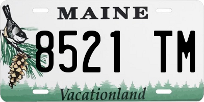 ME license plate 8521TM