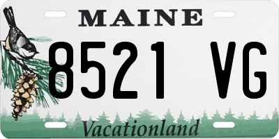 ME license plate 8521VG