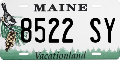 ME license plate 8522SY