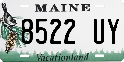 ME license plate 8522UY