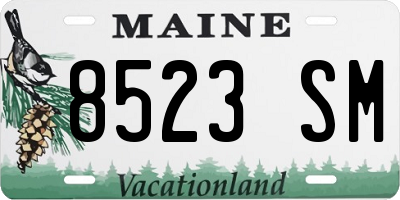 ME license plate 8523SM
