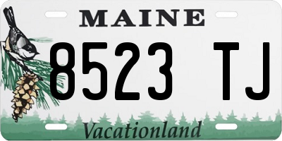 ME license plate 8523TJ