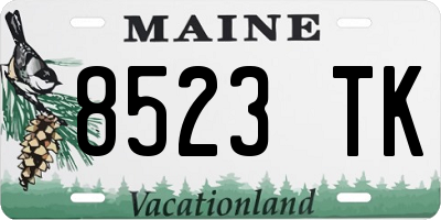 ME license plate 8523TK