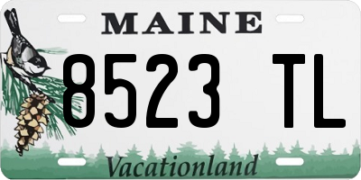 ME license plate 8523TL