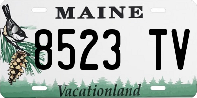 ME license plate 8523TV