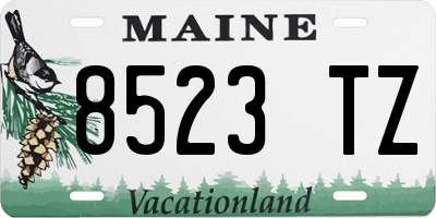 ME license plate 8523TZ