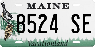 ME license plate 8524SE
