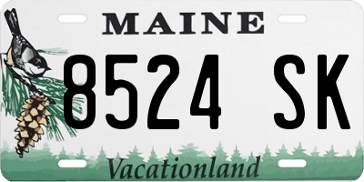 ME license plate 8524SK
