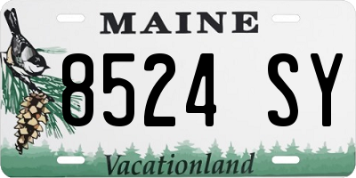 ME license plate 8524SY