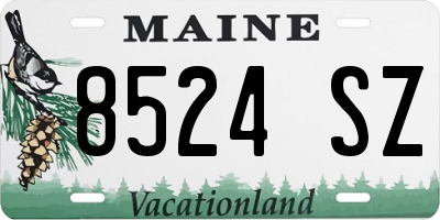 ME license plate 8524SZ