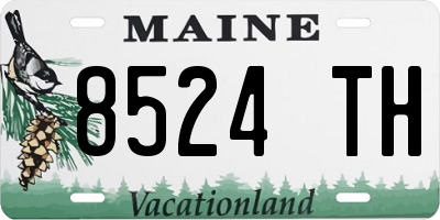 ME license plate 8524TH