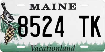 ME license plate 8524TK