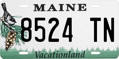 ME license plate 8524TN