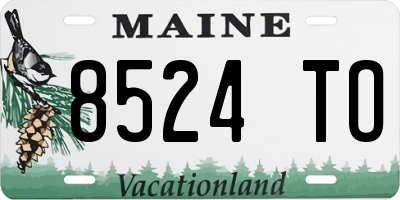 ME license plate 8524TO