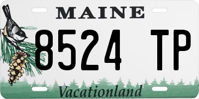 ME license plate 8524TP