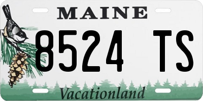 ME license plate 8524TS