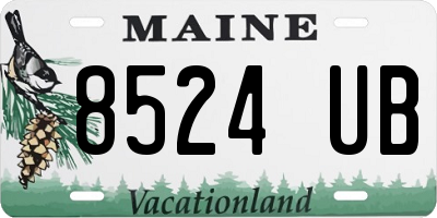 ME license plate 8524UB