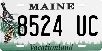 ME license plate 8524UC