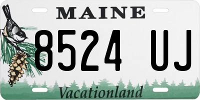 ME license plate 8524UJ