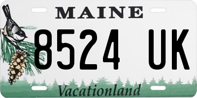 ME license plate 8524UK