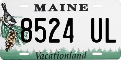 ME license plate 8524UL