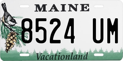 ME license plate 8524UM