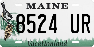 ME license plate 8524UR