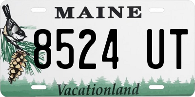 ME license plate 8524UT