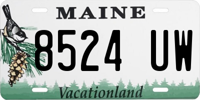 ME license plate 8524UW