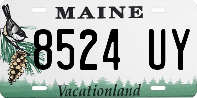 ME license plate 8524UY